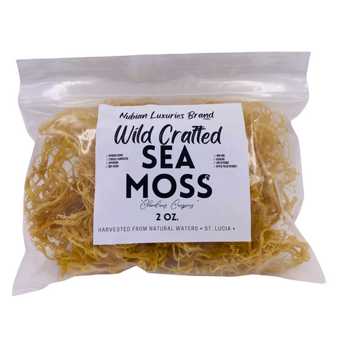 Wild Harvested - Sea Moss {2oz.}